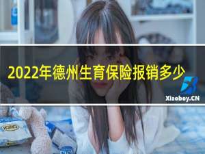 2022年德州生育保险报销多少