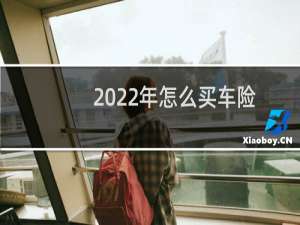 2022年怎么买车险