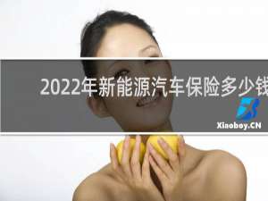 2022年新能源汽车保险多少钱