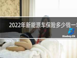2022年新能源车保险多少钱一年