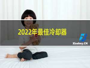 2022年最佳冷却器CabelaIglooYetiColeman等