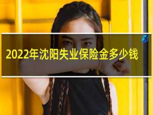 2022年沈阳失业保险金多少钱