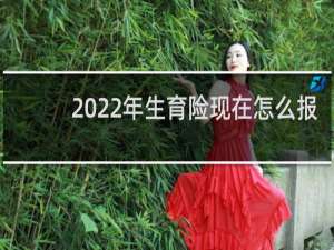 2022年生育险现在怎么报