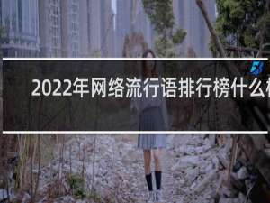 2022年网络流行语排行榜什么梗