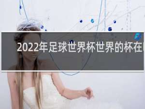 2022年足球世界杯世界的杯在哪