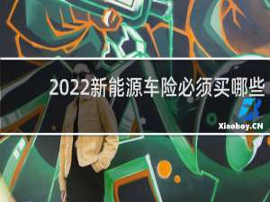 2022新能源车险必须买哪些
