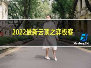 2022最新云顶之弈极客