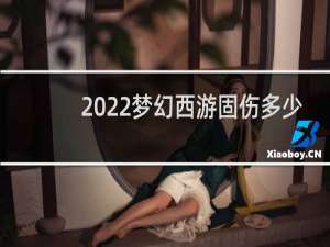 2022梦幻西游固伤多少