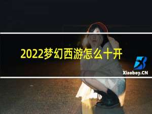 2022梦幻西游怎么十开