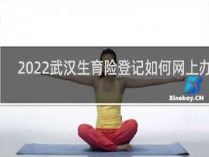 2022武汉生育险登记如何网上办理