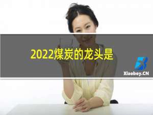 2022煤炭的龙头是?