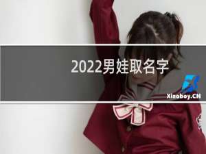 2022男娃取名字