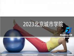 2023北京城市学院艺术类专业各省录取分数线
