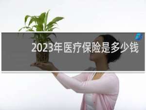 2023年医疗保险是多少钱