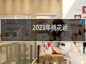 2023年桃花运