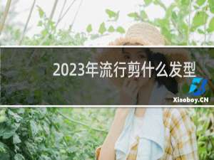 2023年流行剪什么发型