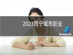 2023西宁城市职业技术学院录取分数线