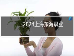 2024上海东海职业技术学院录取分数线