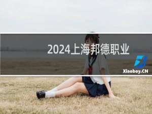 2024上海邦德职业技术学院录取分数线