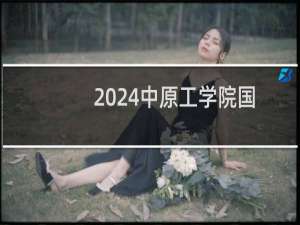 2024中原工学院国际经济与贸易专业各省录取分数线