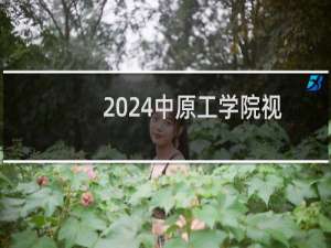 2024中原工学院视觉传达设计专业各省录取分数线