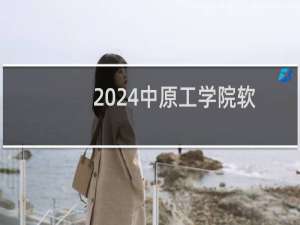 2024中原工学院软件工程（中外合办）专业各省录取分数线