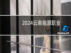 2024云南能源职业技术学院录取分数线