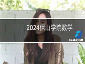 2024保山学院数学与应用数学专业各省录取分数线