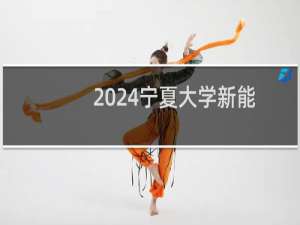 2024宁夏大学新能源材料与器件专业各省录取分数线