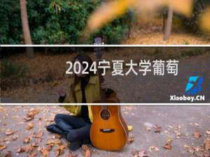 2024宁夏大学葡萄与葡萄酒工程(中外合作办学)专业各省录取分数线
