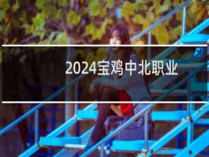 2024宝鸡中北职业学院录取分数线