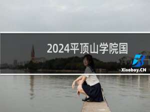 2024平顶山学院国际经济与贸易专业录取分数线和最低位次 全国最低415