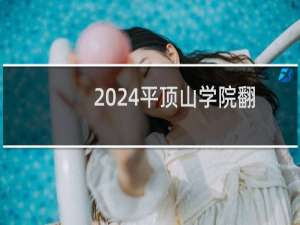 2024平顶山学院翻译专业录取分数线和最低位次 全国最低477
