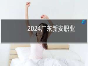 2024广东新安职业技术学院录取分数线