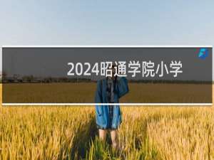 2024昭通学院小学教育专业各省录取分数线