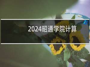 2024昭通学院计算机科学与技术专业各省录取分数线