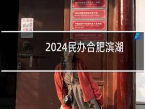 2024民办合肥滨湖职业技术学院录取分数线