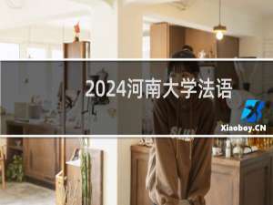 2024河南大学法语专业各省录取分数线