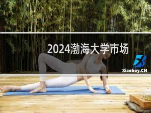 2024渤海大学市场营销专业各省录取分数线
