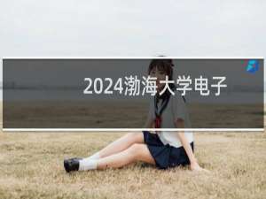 2024渤海大学电子信息工程专业各省录取分数线
