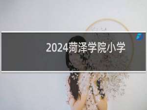 2024菏泽学院小学教育（师范类）专业各省录取分数线