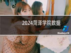 2024菏泽学院数据科学与大数据技术专业各省录取分数线