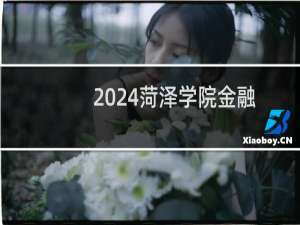 2024菏泽学院金融工程专业各省录取分数线