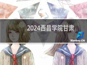 2024西昌学院甘肃艺术本科最低多少分?附2021-2023分数线
