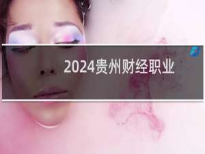 2024贵州财经职业学院录取分数线