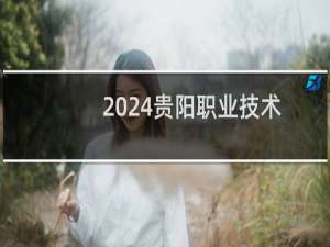2024贵阳职业技术学院录取分数线