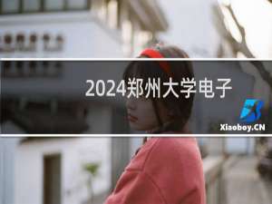 2024郑州大学电子信息类专业各省录取分数线