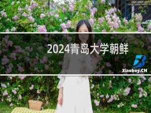 2024青岛大学朝鲜语专业录取分数线 全国450分