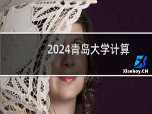 2024青岛大学计算机科学与技术(中外合作办学)专业录取分数线 全国542分