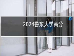 2024鲁东大学高分子材料与工程专业各省录取分数线